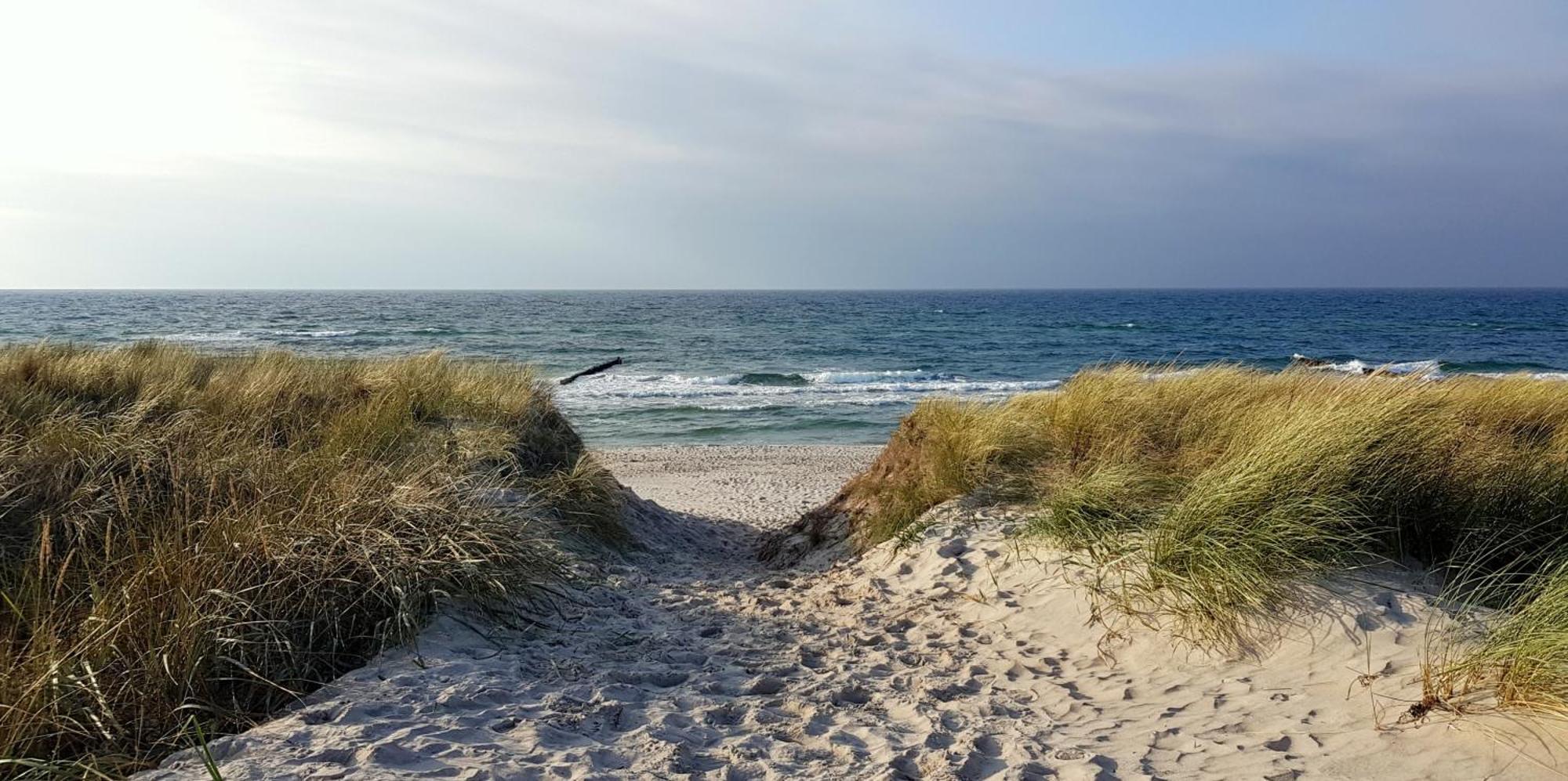 Ostseekieker Wustrow  Dış mekan fotoğraf
